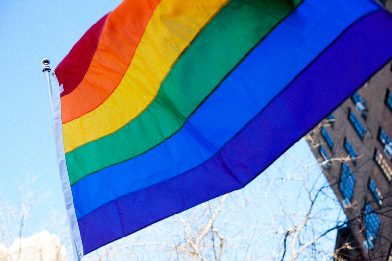 Illustration for article titled FAGS, FLAGS, AND POSTERS